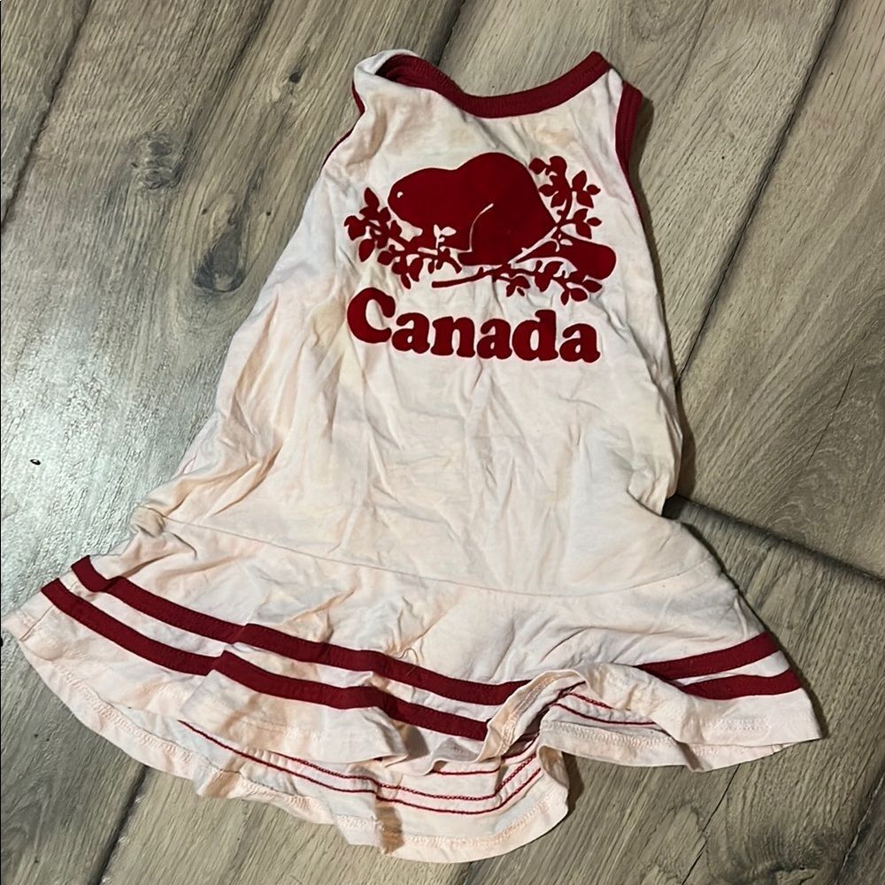 Roots Baby Pink Sleeveless Dress